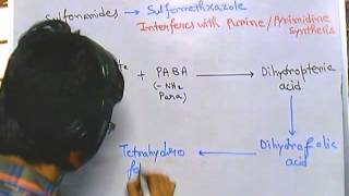 Sulfonamides mode of action [upl. by Eseela288]