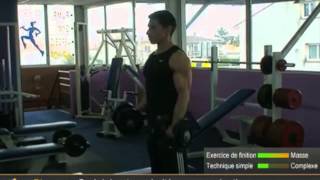 Top 7 des exercices de biceps pour muscler les bras par All musculation [upl. by Moreno]