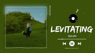 Levitating  Dua Lipa cover by Helions [upl. by Reemas]