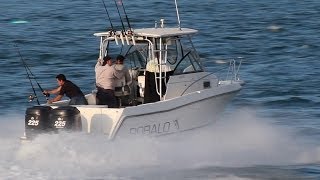 Robalo 2440 Walkaround [upl. by Gahl422]