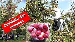 L’autocueillette des pommes 🍎 au Québec Automne 2020 [upl. by Otreblanauj]