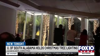 USA kicks off holiday season with lighting of 2 Christmas trees [upl. by Ahsennod]