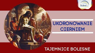 Różaniec Trzecia tajemnica bolesna  UKORONOWANIE CIERNIEM [upl. by Eimareg]