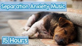 15 HOURS of Deep Separation Anxiety Music for Dog Relaxation Helped 4 Million Dogs Worldwide NEW [upl. by Legna196]