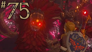 Zelda Breath Of The Wild Playthrough Part 75 Calamity Ganon [upl. by Alliscirp]