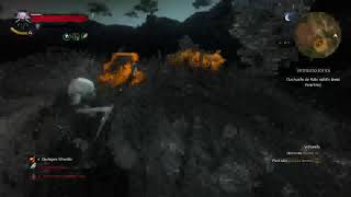 Lets Play The Witcher 3 Die Eroberung des Paradieses Folge 24 [upl. by Keeler]