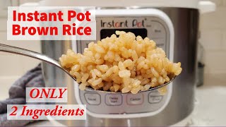 Perfect Restaurant Style Brown Rice  INSTANT POT RECIPE [upl. by God]