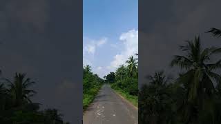 Y kotha palli Villagey kothapallitravel india konaseema village greenery shorts telugu [upl. by Nairot]