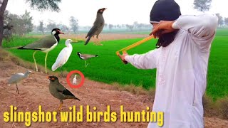 slingshot wild birds hunting [upl. by Rambow580]