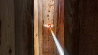 Cedar Tone Staining in DFW fencestaining [upl. by Savannah]