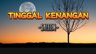 SALEEM  TINGGAL KENANGAN [upl. by Jariv939]