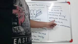 columnar epithelium tissue std9th cbse9th gseb std 9 chapter 6 [upl. by Audi]