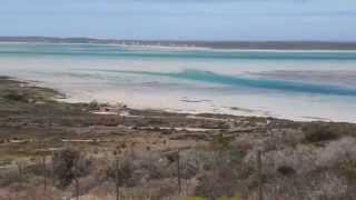 Langebaan und Shark Bay der Film [upl. by Gurl]