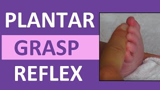 Plantar Grasp Reflex in Infant Newborn  Pediatric Nursing Assessment [upl. by Brod]