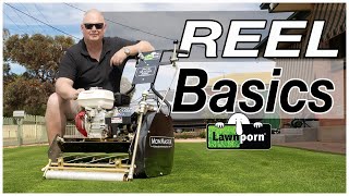 Cylinder Mower Basics  Learn How To Use and Mow [upl. by Llednor]