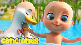 Un patito muy feliz  Entretenimiento Para Niños  Canciones Infantiles LooLoo [upl. by Natsirhc]