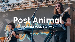 Post Animal  You Were Not There  Audiotree Music Festival 2018 [upl. by Asiek14]