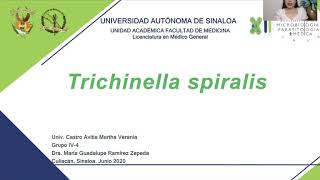 8Trichinella spiralis [upl. by Neelcaj]