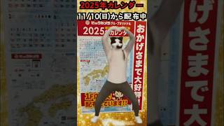 ビックカメラダンス】カレンダーキタービックカメラビックカメラダンスai catmemes ビックカメラ踊ってみた [upl. by Ynalem]