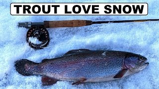 150 Trout Flies for a Snow Day 4 Fly Fishing UK [upl. by Radu616]