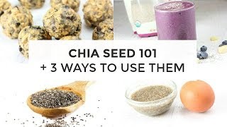 Chia Seed 101  3 Ways To Use Chia Seeds [upl. by Iams960]