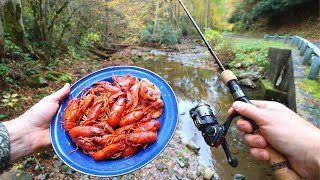 Fishing for Crawfish and Boiling Em in Butter [upl. by Edgerton741]