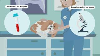 Which treatments would you choose for dog lungworm and why [upl. by Ylra765]