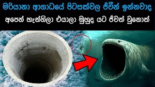 මරියානා ආගාධයේ පිටසක්වල ජීවීන් හිටියොත්  Aliens Sinhala holman aliens in Mariana Trench kazzai [upl. by Gibeon]