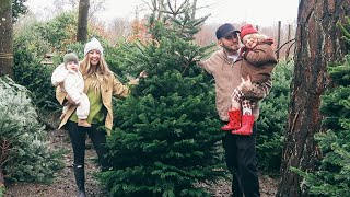 The Elf Has Arrived amp Picking Our Christmas Tree With The Family  Vlogmas Day 1 [upl. by Onaicilef268]