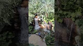 Gaylord Opryland Resort and Convention Center Nashville Tennessee [upl. by Niar]