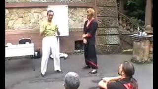 Wing Tsun Leung Ting Tutorial Chi Sao 8 [upl. by Itsyrc]