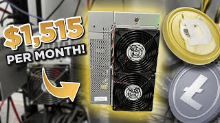 How Im Earning 1515 Mining Dogecoin with Bitmain Antminer L7 [upl. by Alikee]