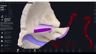 Anatomy of the Temporal bone Canals of temporal bone [upl. by Locin]