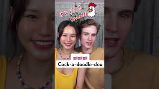 tiktok 🐓色んな言語で鳥の鳴き声😂 動物 英語 韓国語 スウェーデン語日本語 雄鶏 [upl. by Gunzburg]