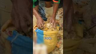 Cooking And Eating Recooked Garbage In The Philippines [upl. by Haiel]