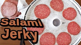 A Simple Homemade Snack  DIY Jerky using Salami [upl. by Kiran]