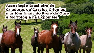 Associação Brasileira de Criadores de Cavalos Crioulos mantém finais do Freio de Ouro e Morfologia [upl. by Aicenaj547]