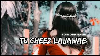 Tu cheez lajawab  Slowed amp Reverb [upl. by Ellenuahs]