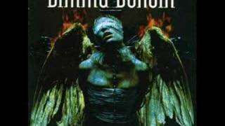 Dimmu Borgir  The Insight and the Catharsis [upl. by Blinny]