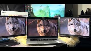 The Oiiwak 14” Portable Monitor  Full Review [upl. by Sanfourd299]