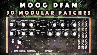 Moog DFAM Modular Grooves PatchesPatterns No Talk Demo [upl. by Atiloj]