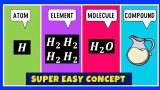 What is the difference between an Atom Element Molecule and Compound [upl. by Aneelas]