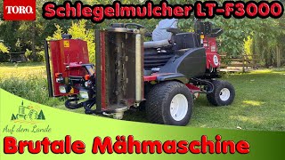 Mein neues Pferd im Stall 😁 Toro LTF3000 Mähmaschine für 50000 Euro 👉 Schlegelmulcher [upl. by Osana]