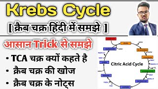 Krebs Cycle  Krebs Cycle in Hindi  Krebs Cycle trick  Krebs Cycle Notes  Glucose Metabolism [upl. by Ecnarrot]