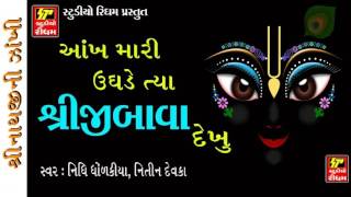 SHRINATHJI NEW SONGS 2017 AAKH MARI UGHDE TYA SHRIJIBAVA DEKHU [upl. by Ysus]