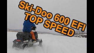 Ski Doo Expedition Sport 600 EFI Top Speed Test [upl. by Scales]