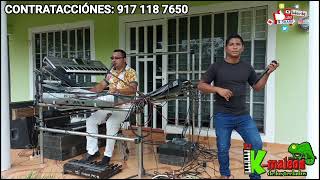 el camaleón de los teclados  paraiso escondido  en vivo [upl. by Bunny]