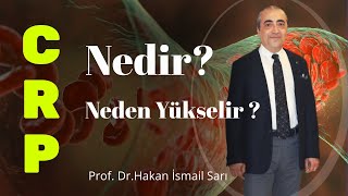 CRP Nedir  CRP Yüksekliği Nedenleri Nelerdir [upl. by Yrome]