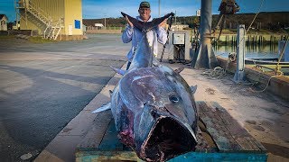 100000000 FISH Catch Clean Cook GIANT BlueFin TUNA [upl. by Suiramaj]