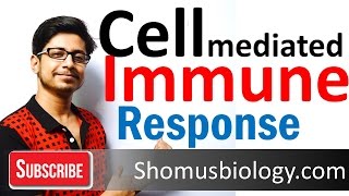 Cell mediated immunity  innate immune response [upl. by Culley]